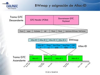 BWmap y asignación de Alloc-ID
Alloc-ID 4Alloc-ID 3
GTC Header (PCBd)
Downstream GTC
Payload
Alloc-ID 1 Alloc-ID 2
Alloc-ID 1 Alloc-ID 2 Alloc-ID 3 Alloc-ID 4
Alloc-ID
3
Flags
xx
StartTime
650
StopTime
850
CRC
xx
Trama GTC
Descendente
Trama GTC
Ascendente
BWmap
Alloc-ID
Psync PLOAMd BIPIndet Plend Upstream BWmap Nx8 bytesPlend
Ráfaga Ráfaga Ráfaga Ráfaga
© 2014 TELNET-RI
 