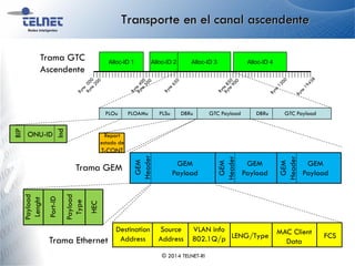Transporte en el canal ascendente
PLOu PLOAMu DBRu
Alloc-ID 4Alloc-ID 3Alloc-ID 1 Alloc-ID 2
Trama GTC
Ascendente
PLSu GTC Payload DBRu GTC Payload
GEM
Header
GEM
Header
GEM
Payload
GEM
Payload
GEM
Payload
GEM
Header
Destination
Address FCS
Source
Address
VLAN info
802.1Q/p LENG/Type MAC Client
DataTrama Ethernet
Trama GEM
BIP
ONU-ID
Ind
Report
estado de
T-CONT
© 2014 TELNET-RI
Payload
Lenght
Port-ID
Payload
Type
HEC
 