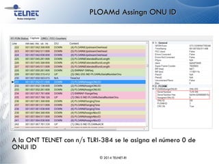 PLOAMd Assingn ONU ID
© 2014 TELNET-RI
A la ONT TELNET con n/s TLRI-384 se le asigna el número 0 de
ONUI ID
 