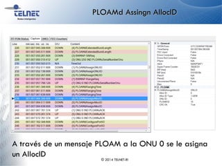 PLOAMd Assingn AllocID
© 2014 TELNET-RI
A través de un mensaje PLOAM a la ONU 0 se le asigna
un AllocID
 