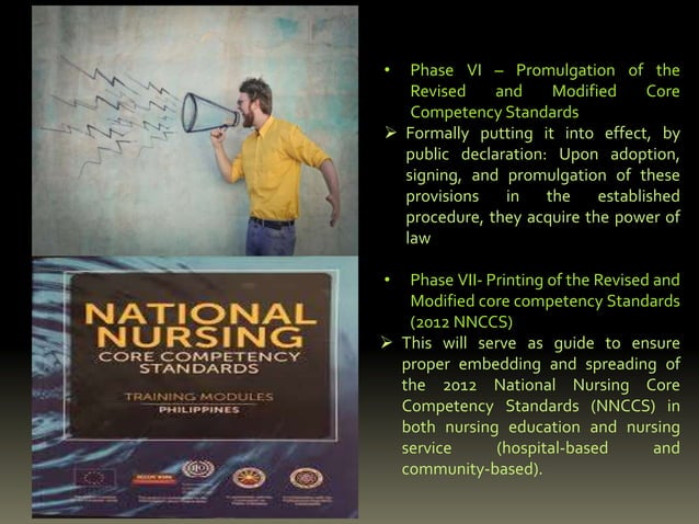 2012-NATIONAL-NURSING-CORE-COMPETENCIES-STANDARDS-report.pptx