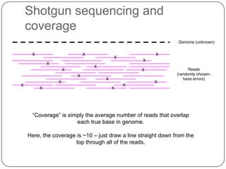 Shotgun sequencing and
coverage




 “Coverage” is simply the average number of reads that overlap
                  each true base in genome.

Here, the coverage is ~10 – just draw a line straight down from the
                  top through all of the reads.
 