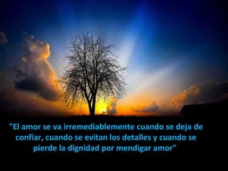 "El amor se va irremediablemente cuando se deja de confiar, cuando se evitan los detalles y cuando se pierde la dignidad por mendigar amor"  