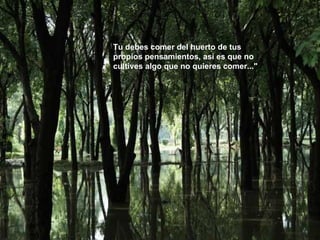 Tu debes comer del huerto de tus propios pensamientos, así es que no cultives algo que no quieres comer..." 