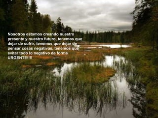 Nosotros estamos creando nuestro presente y nuestro futuro, tenemos que dejar de sufrir, tenemos que dejar de pensar cosas negativas, tenemos que evitar todo lo negativo de forma URGENTE!!!! 