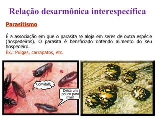 Parasitismo
É a associação em que o parasita se aloja em seres de outra espécie
(hospedeiros). O parasita é beneficiado obtendo alimento do seu
hospedeiro.
Ex.: Pulgas, carrapatos, etc.
Comida!!!
Deixa um
pouco para
mim!
Relação desarmônica interespecífica
 