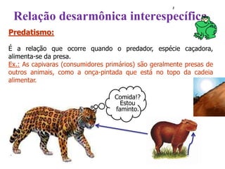 Predatismo:
É a relação que ocorre quando o predador, espécie caçadora,
alimenta-se da presa.
Ex.: As capivaras (consumidores primários) são geralmente presas de
outros animais, como a onça-pintada que está no topo da cadeia
alimentar.
Comida!?
Estou
faminto.
Relação desarmônica interespecífica
 