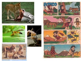 2012_-_relacoes_ecologicas(1).ppt