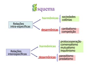 Relações
intra-específicas
harmônicas
desarmônicas
sociedades
colônias
canibalismo
competição
Relações
interespecíficas
harmônicas
desarmônicas
protocooperação
comensalismo
mutualismo
inquilinismo
parasitismo
predatismo
squema
 