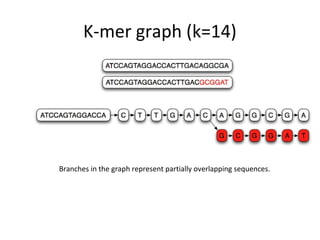 K-mer graph (k=14)




Branches in the graph represent partially overlapping sequences.
 
