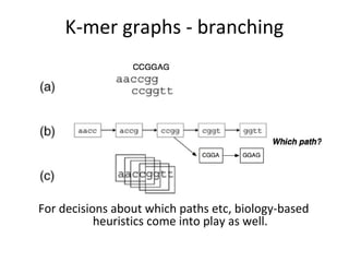 K-mer graphs - branching




For decisions about which paths etc, biology-based
           heuristics come into play as well.
 