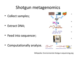 Shotgun metagenomics
• Collect samples;

• Extract DNA;

• Feed into sequencer;

• Computationally analyze.

                     Wikipedia: Environmental shotgun sequencing.png
 