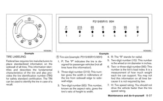 WDI0394                                                                                    WDI0395
                 Example                                                               Example
TIRE LABELING                                   ᭺ Tire size (example: P215/65R15 95H)
                                                1                                            4. R: The “R” stands for radial.
Federal law requires tire manufacturers to       1. P: The “P” indicates the tire is de-     5. Two-digit number (15): This number
place standardized information on the               signed for passenger vehicles (not all      is the wheel or rim diameter in inches.
sidewall of all tires. This information iden-       tires have this information).            6. Two- or three-digit number (95): This
tifies and describes the fundamental                                                            number is the tire’s load index. It is a
characteristics of the tire and also pro-        2. Three-digit number (215): This num-         measurement of how much weight
vides the tire identification number (TIN)          ber gives the width in millimeters of       each tire can support. You may not
for safety standard certification. The TIN          the tire from sidewall edge to side-        find this information on all tires be-
can be used to identify the tire in case of a       wall edge.                                  cause it is not required by law.
recall.                                          3. Two-digit number (65): This number,      7. H: Tire speed rating. You should not
                                                    known as the aspect ratio, gives the        drive the vehicle faster than the tire
                                                    tire’s ratio of height to width.            speed rating.
                                                                                             Maintenance and do-it-yourself 8-37
 