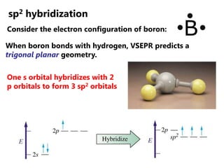 2012 Orbital Hybrization, Sigma and Pi Bonds | PPTX