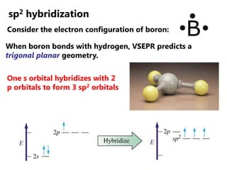 sp2 hybridization
Consider the electron configuration of boron:

When boron bonds with hydrogen, VSEPR predicts a
trigonal...