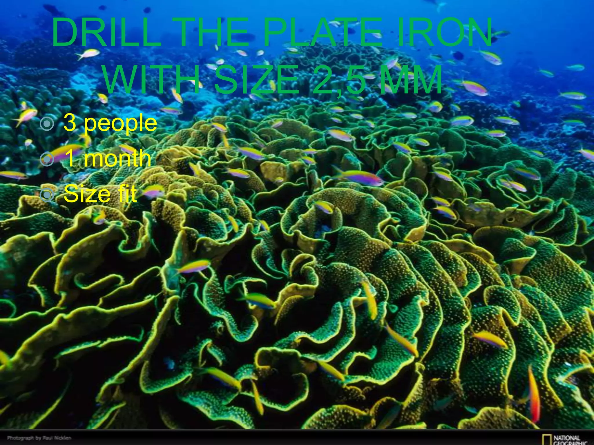 DRILL THE PLATE IRON
   WITH SIZE 2,5 MM
 3 people
 1 month
 Size fit
 