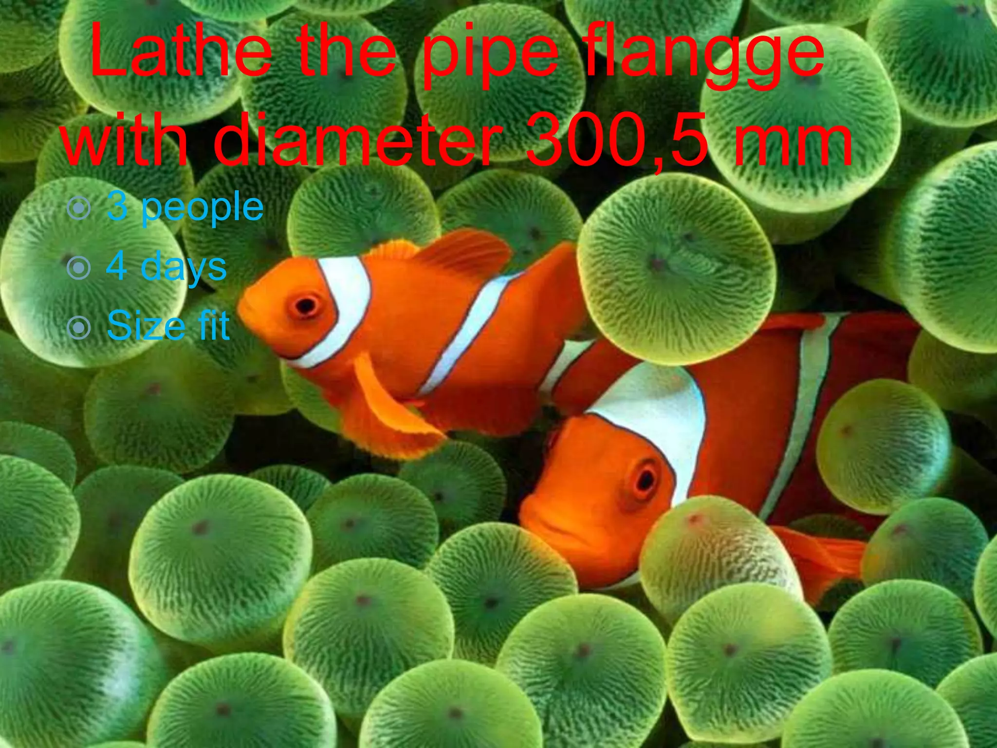 Lathe the pipe flangge
with diameter 300,5 mm
 3 people
 4 days
 Size fit
 