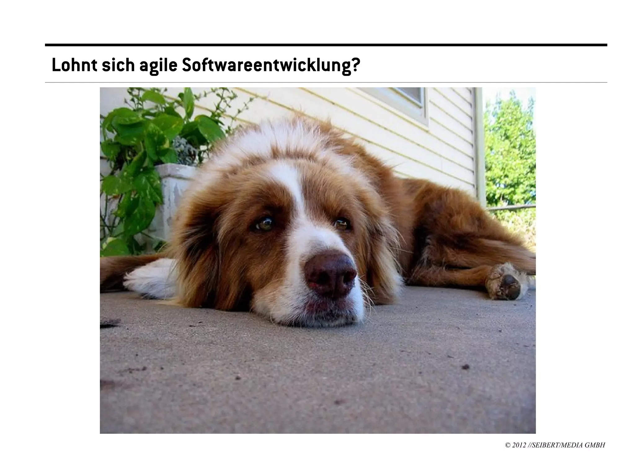 Lohnt sich agile Softwareentwicklung?




                                        © 2012 //SEIBERT/MEDIA GMBH
 