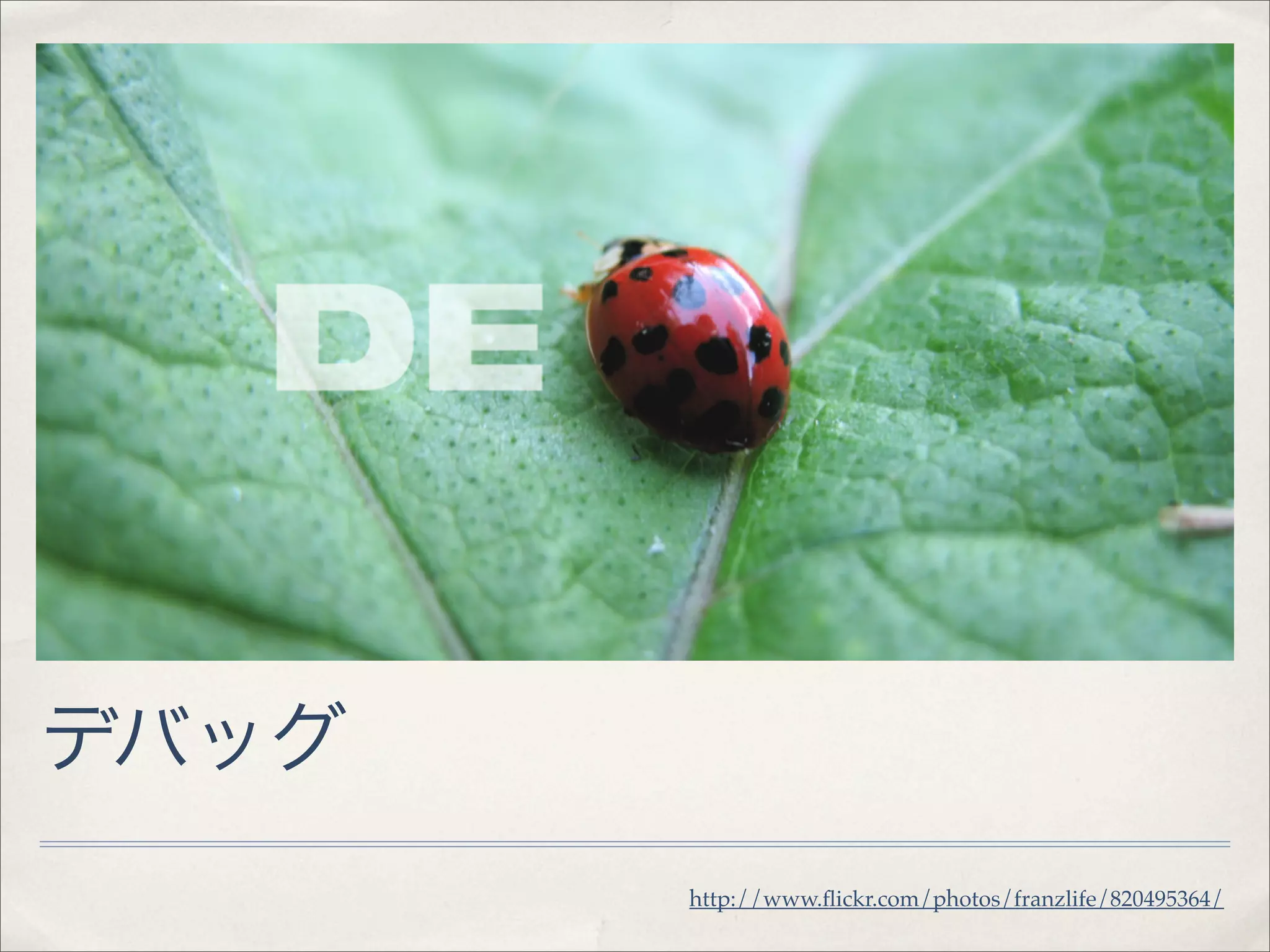 デバッグ
       http://www.ﬂickr.com/photos/franzlife/820495364/
 