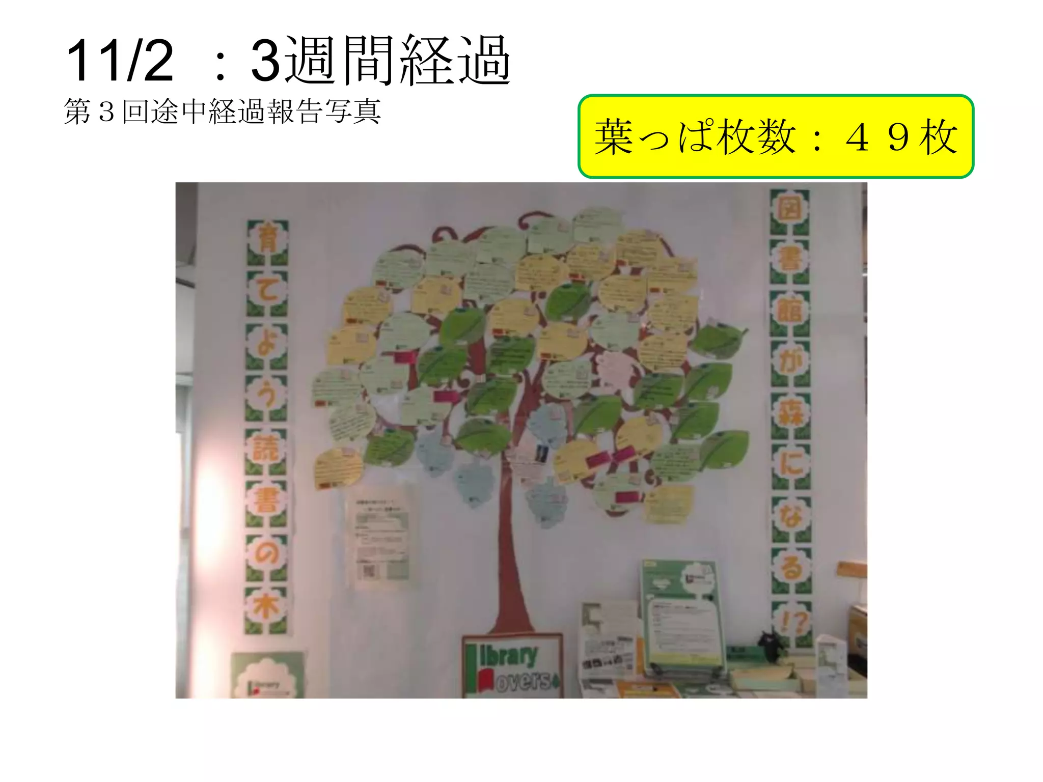 11/2 ：3週間経過
第３回途中経過報告写真
              葉っぱ枚数：４９枚
 