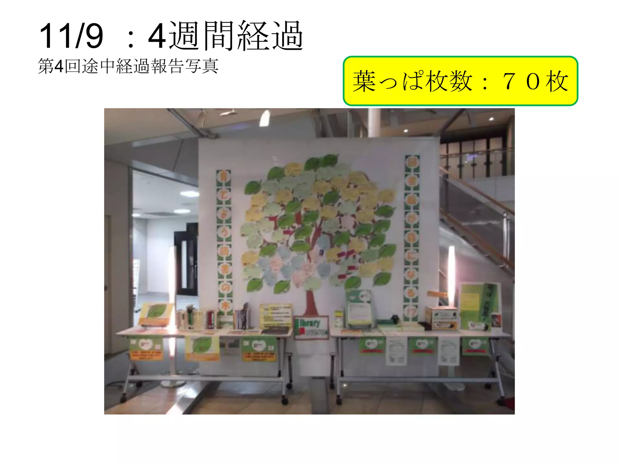 11/9 ：4週間経過
第4回途中経過報告写真
              葉っぱ枚数：７０枚
 