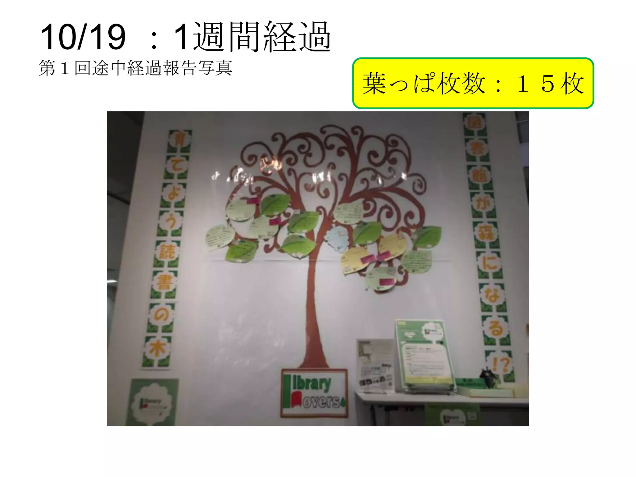 10/19 ：1週間経過
第１回途中経過報告写真
               葉っぱ枚数：１５枚
 