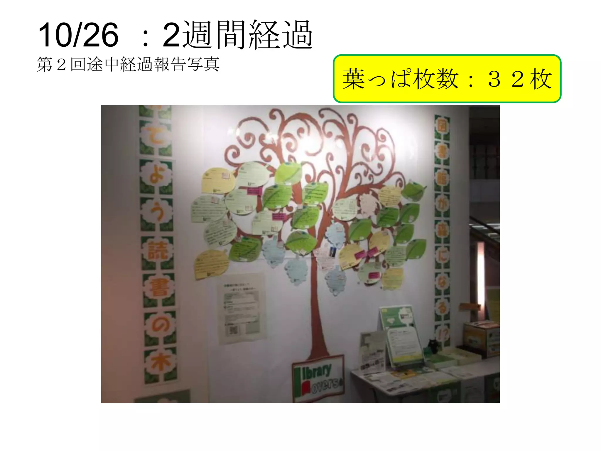 10/26 ：2週間経過
第２回途中経過報告写真
               葉っぱ枚数：３２枚
 