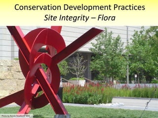 Conservation Development Practices and Strategies | PDF