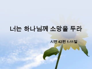 너는 하나님께 소망을 두라
       시편 42편 1-11절
 