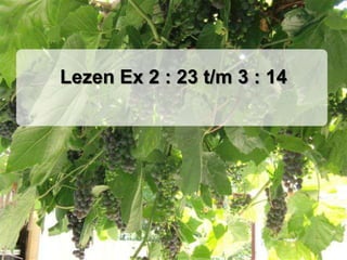 Lezen Ex 2 : 23 t/m 3 : 14
 