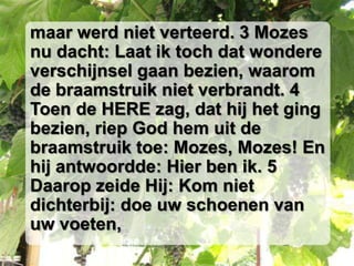 maar werd niet verteerd. 3 Mozes
nu dacht: Laat ik toch dat wondere
verschijnsel gaan bezien, waarom
de braamstruik niet verbrandt. 4
Toen de HERE zag, dat hij het ging
bezien, riep God hem uit de
braamstruik toe: Mozes, Mozes! En
hij antwoordde: Hier ben ik. 5
Daarop zeide Hij: Kom niet
dichterbij: doe uw schoenen van
uw voeten,
 