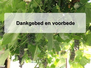 Dankgebed en voorbede
 