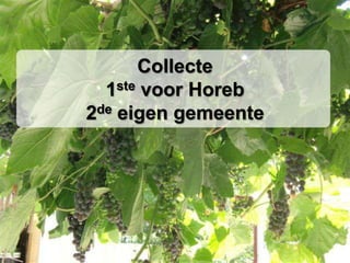 Collecte
  1ste voor Horeb
2de eigen gemeente
 