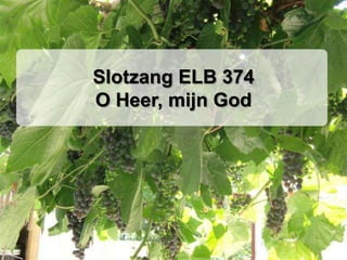 Slotzang ELB 374
O Heer, mijn God
 