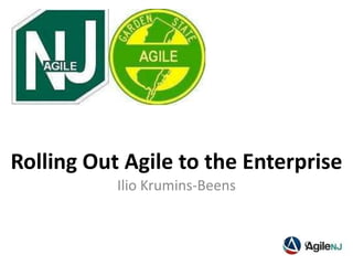 Rolling Out Agile to the Enterprise
Ilio Krumins-Beens

 