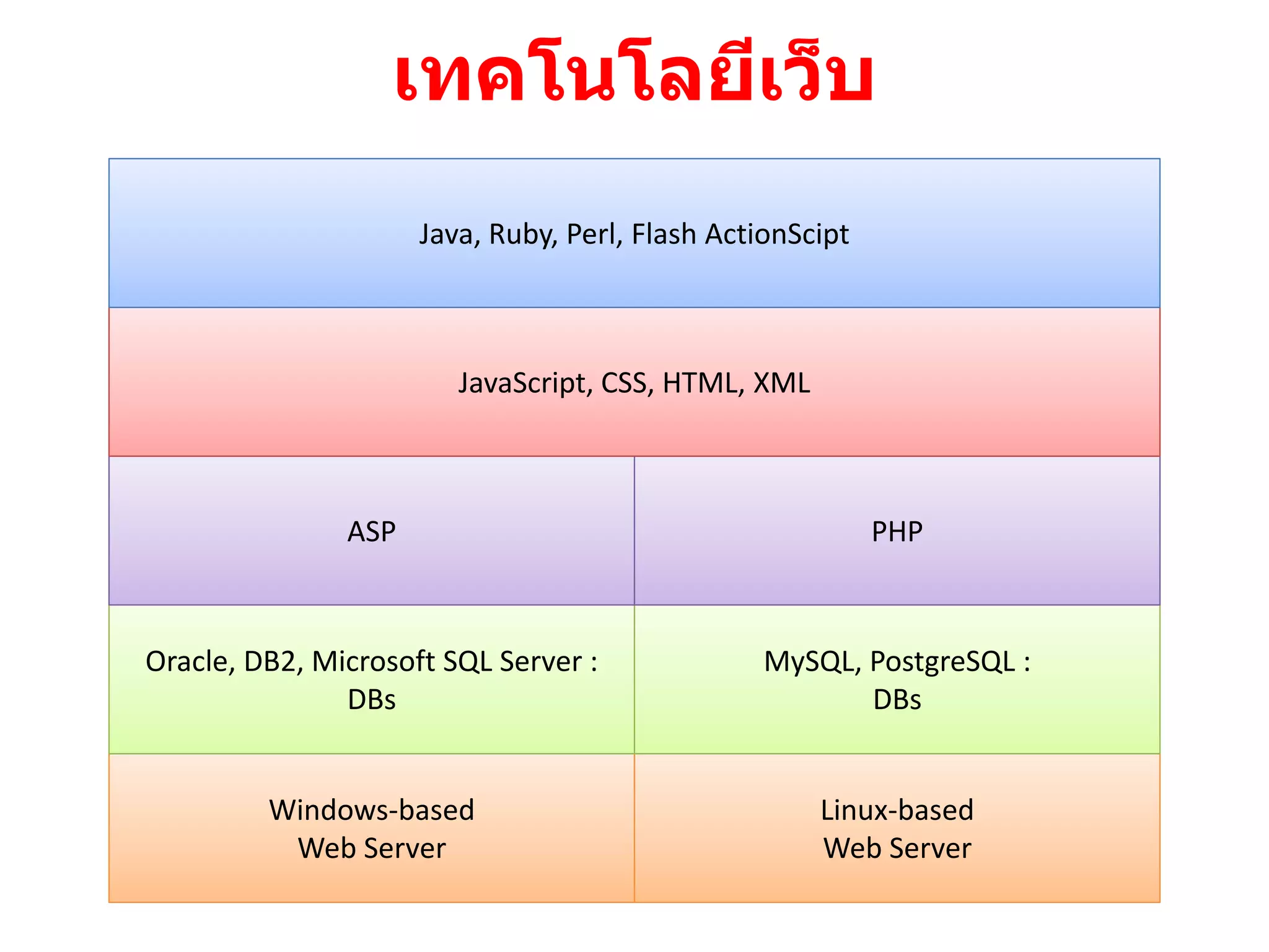 เทคโนโลยีเว็บ
                     Java, Ruby, Perl, Flash ActionScipt



                        JavaScript, CSS, HTML, XML



               ASP                                         PHP



Oracle, DB2, Microsoft SQL Server :             MySQL, PostgreSQL :
               DBs                                     DBs


         Windows-based                               Linux-based
          Web Server                                 Web Server
 