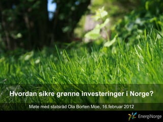 Hvordan sikre grønne investeringer i Norge?
     Møte med statsråd Ola Borten Moe, 16.februar 2012
 