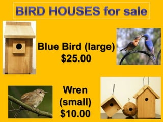 Blue Bird (large)
     $25.00


     Wren
    (small)
    $10.00
 
