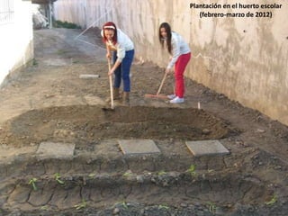 Plantación en el huerto escolar
   (febrero-marzo de 2012)
 