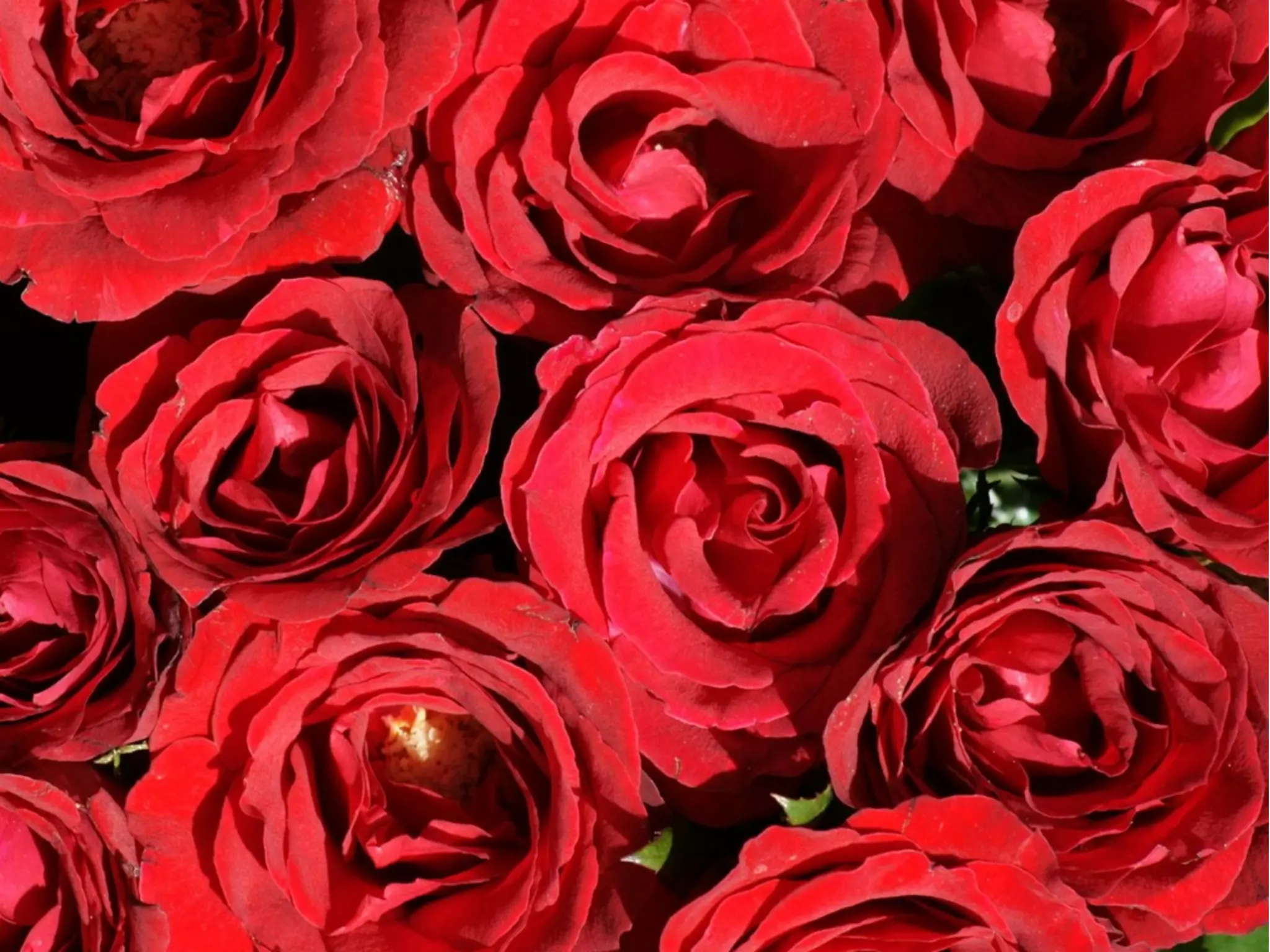 um cfe | @deanmalmgren | 2012 february
 