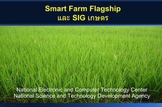 Smart Farm Flagship
             และ SIG เกษตร




 National Electronic and Computer Technology Center
National Science and Technology Development Agency
 