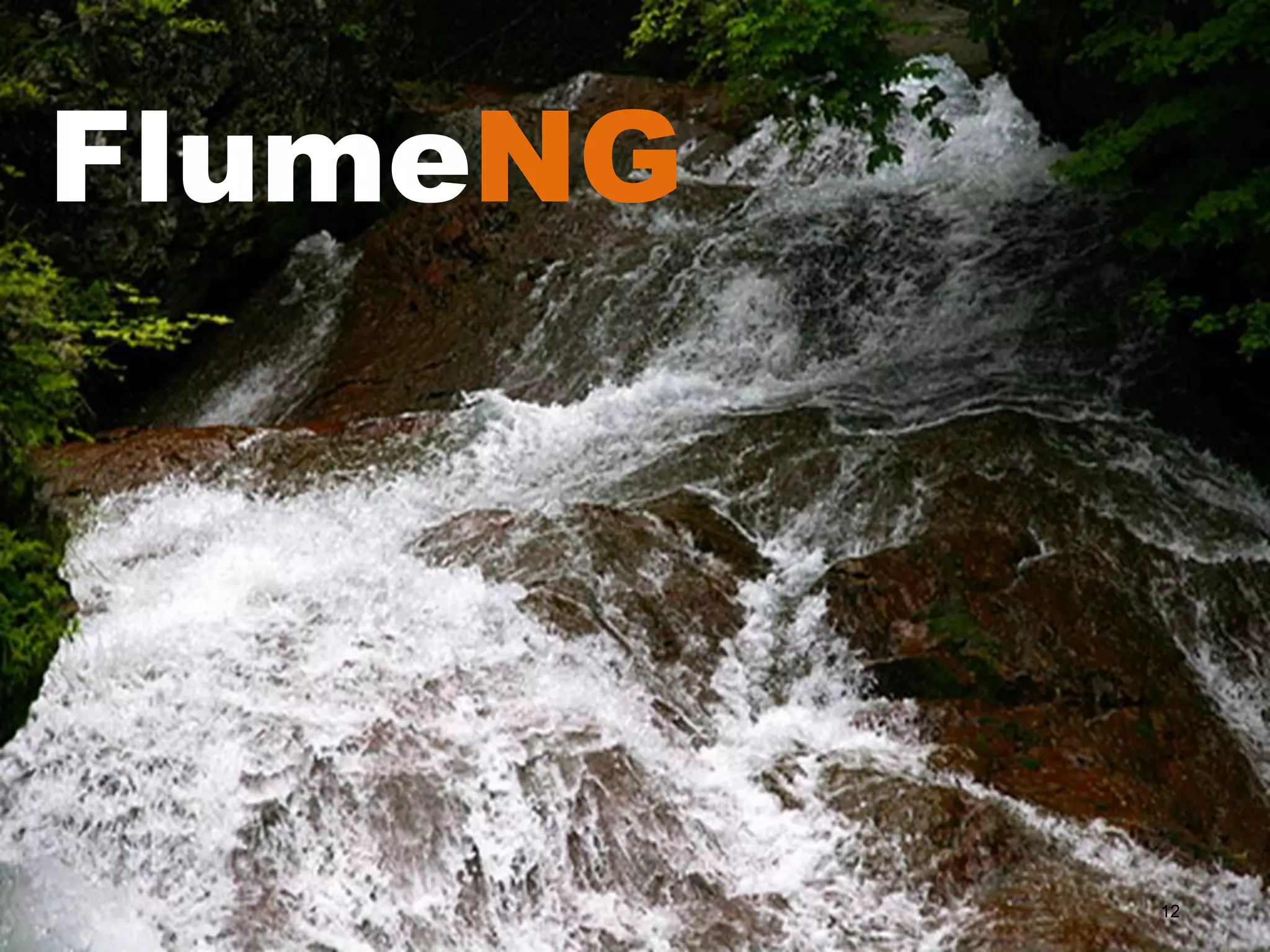 FlumeNG




          12
 