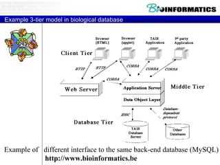 Example 3-tier model in biological database http://www.bioinformatics.be Example of  different interface to the same back-end database (MySQL) 