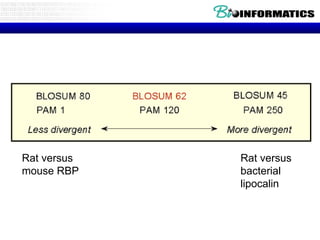 Rat versus  mouse RBP Rat versus  bacterial lipocalin 