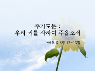 주기도문 :
우리 죄를 사하여 주옵소서
      마태복음 6장 12~13절
 