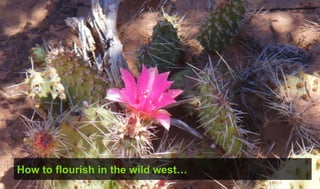 How to flourish in the wild west…
 