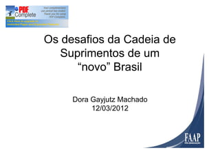 Os desafios da Cadeia de
   Suprimentos de um
      novo Brasil

     Dora Gayjutz Machado
          12/03/2012
 