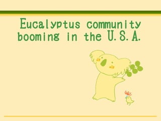 Eucalyptus community
booming in the U.S.A.
 
