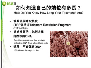 如何知道自己的端粒有多長？
  How Do You Know How Long Your Telomeres Are?

• 端粒限制片段長度
  (TRF分析法Telomere Restriction Fragment
  (TRF Analysis)
• 敏感性評估，包括收集
  白血球的DNA
  Sensitive assessment that involves
  collecting DNA from white blood cells

• 過程中不會傷害DNA
   DNA is not damaged in the              process
 