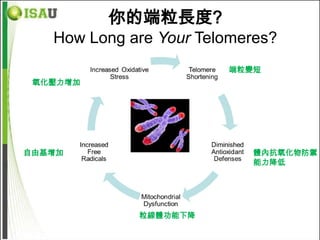 你的端粒長度?
   How Long are Your Telomeres?
                        端粒變短
 氧化壓力增加




自由基增加                      體內抗氧化物防禦
                           能力降低




             粒線體功能下降
 